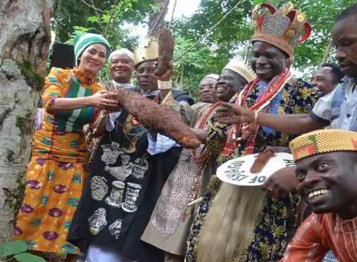 Igbo Ukwu New Yam Festival